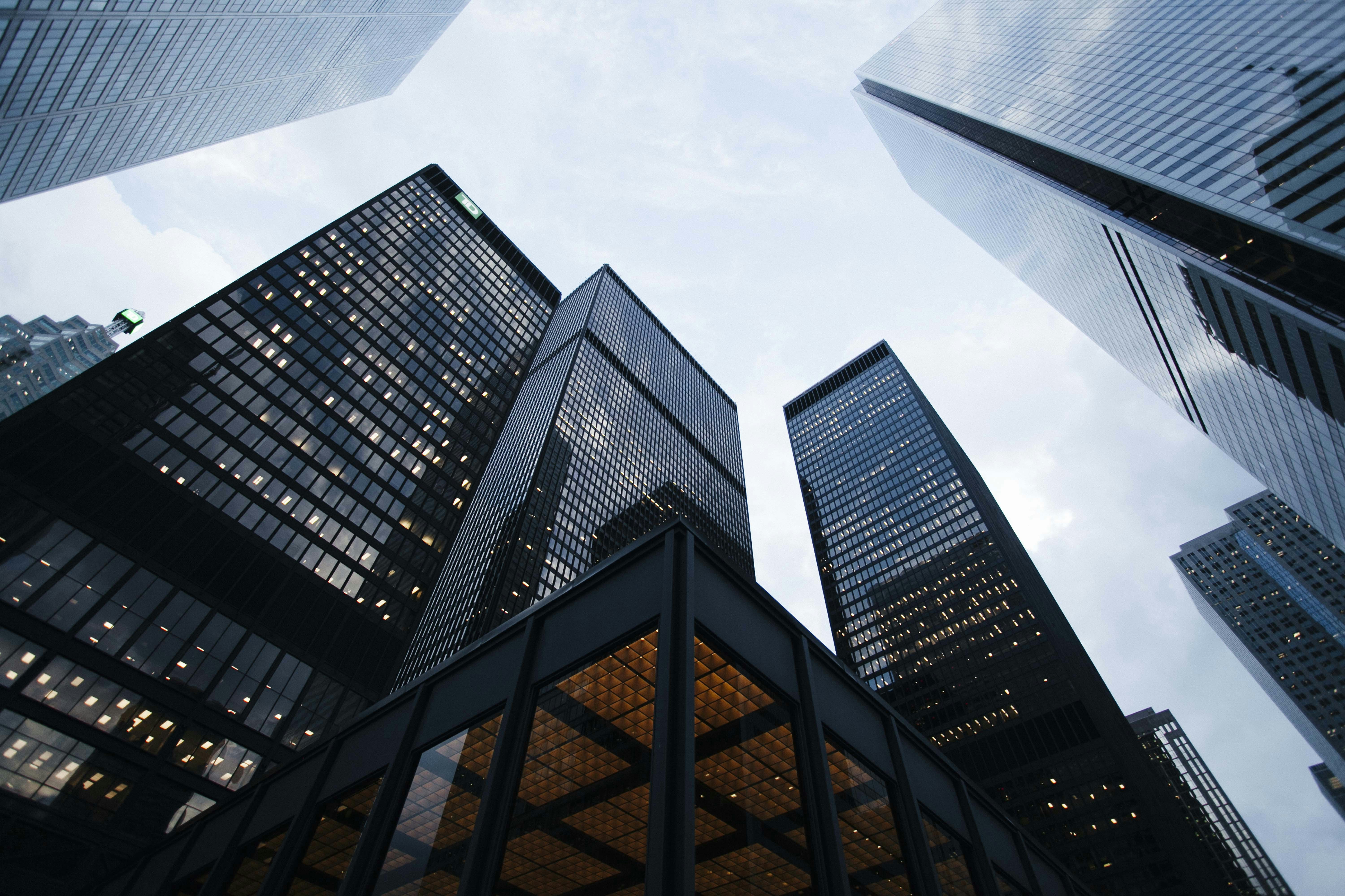 Financial Management and Consulting